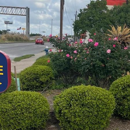Raintree Inn And Suites Houston Luaran gambar